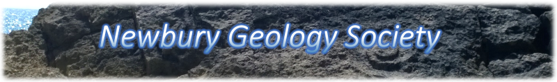 NGS logo